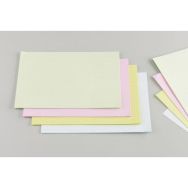 Fiche bristol A4 uni 210g blanc (Paquet de 100)