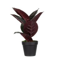 Ficus Elastica artificielle - 36 ou 120 cm - Meet By Paperflow