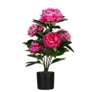 Fleur artificielle Pivoine rose 55 cm-