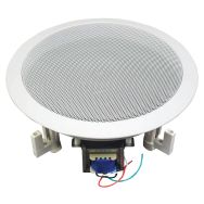 Haut-parleur de plafond à 2 voies AP1410 - BST