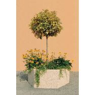 Jardinière Byblos hexagonale 150 x 112 x 55 cm beige - ciment blanc