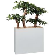 Jardinière métal sur roulettes hauteur 74 cm Bonzaï