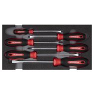 Jeu de vis PZ SL 2/6 CT module 6 pcs.