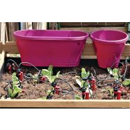 Image produit cross sell