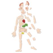 Kit playmais puzzle anatomique