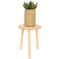 L'aloe