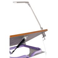 Lampe Led basse vision noire