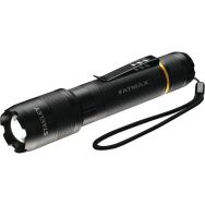 Lampe Torche Compacte Premium - 350 Lumens - Fatmax