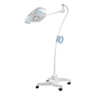 Lampe d'examen GS900 sur pied-WELCH ALLYN
