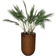 Le palm
