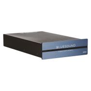 Lecteur réseau 1 zone B100S - Bluesound