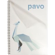 Lot de 100 Couverture de reliure PP A4 280 µm transparente - Pavo
