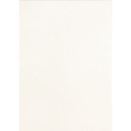 Lot de 100 Plat de couverture A3 250g grain de cuir - blanc - Pavo