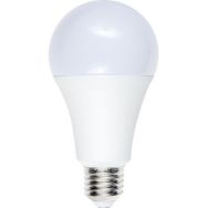 Lot de 10 Ampoule LED standard A70x140 E27 12W 1100 lm