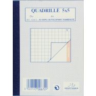 Lot de 10 Bloc-notes quadrillé 5/5 dupli A6 100 pages