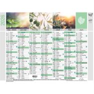 Lot de 10 Calendrier 2025 BANQUE 18X13,5 Equology par 10