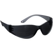 Lot de 10 Lunettes Pokelux polycarbone CAT.4 anti-buée - Teinté - XL