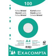 Lot de 10 Paquet 100 fiches sous film quadrillé perforé 210x297mm