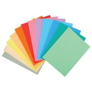 Lot de 10 Paquet 10 chemises super 250 - 24x32cm