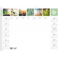 Lot de 10 Sous-main millesime fr equology par 10 - 54x40cm