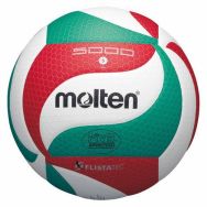 Lot de 10 ballons de volley Molten V5M5000 + sac de rangement