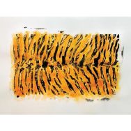 Lot de 10 plaques animaux sauvages 21.5 x 15 cm