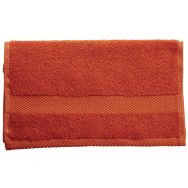 Lot de 10 serviettes de toilette 50 x 90 cm Terracota