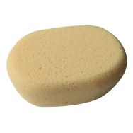 Lot de 12 Éponge synthétique ovale