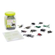 Lot de 12 insectes