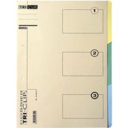 Lot de 20 Dossier Tri-Clip, format A4
