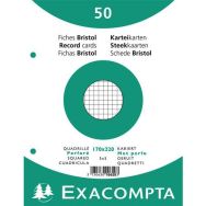 Lot de 24 Paquet 50 fiches sous film quadrillé perforé 170x220mm