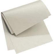 Lot de 250 Carton pour archives: gris: boîte de 250 feuilles: Infinio