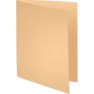 Lot de 250 Sous-chemises SUPER 60 - 22x31cm - Bulle