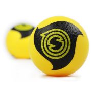 Lot de 2 Balles de Spikeball Pro kit