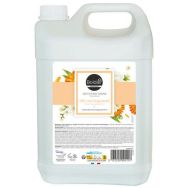 Lot de 2 Nettoyant mains - thé vert bergamote - 5L - Boldair