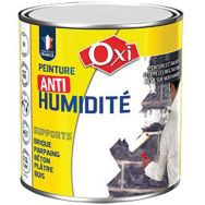 Lot de 2 Peinture à formule anti humidité de 500 ml