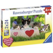 Lot de 2 puzzles 'Chatons au repos'