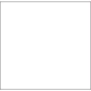 Lot de 30 Étiquette pour pince Proline XL Blanc