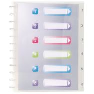 Lot de 4 Protège-documents amovibles à anneaux PP crystal 60 vues A4
