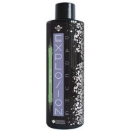 Lot de 4 Recharge explosion green tea - 250 ml