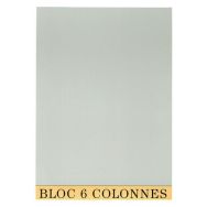 Lot de 5 Bloc de contrôle comptable 29,7x21cm 6 col. 70 feuillets