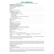Lot de 5 Dossier location commerciale