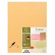 Lot de 5 Parapheur dos a soufflets forever - 20 compartiments