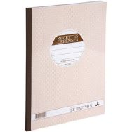 Lot de 5 Piqûre et registre spécial recettes et dépenses 50D A297X210