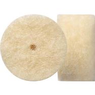 Lot de 5 Roues de polissage en feutre diamètre 13mm
