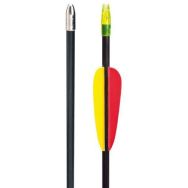 Lot de 6 Fleches Fibre de Verre