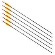 Lot de 6 Fleches aluminium