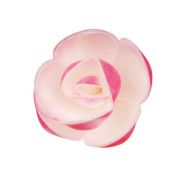 Lot de 72 Décor comestible fleurs azyme pastel