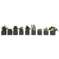 Lot de 9 pots carrés 7x7 9 plantes Tanaman