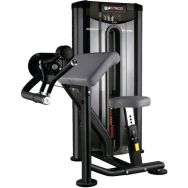 Machine à Biceps - Marque BH - Gamme Pro - Chargee à 67,5 kg